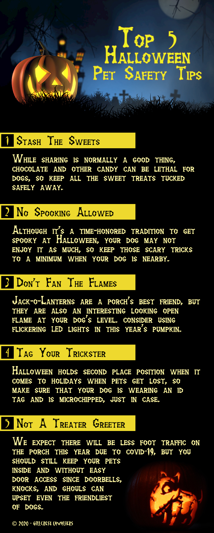 Top 5 Halloween Tips 2020 Top 5 Halloween Tips 2020